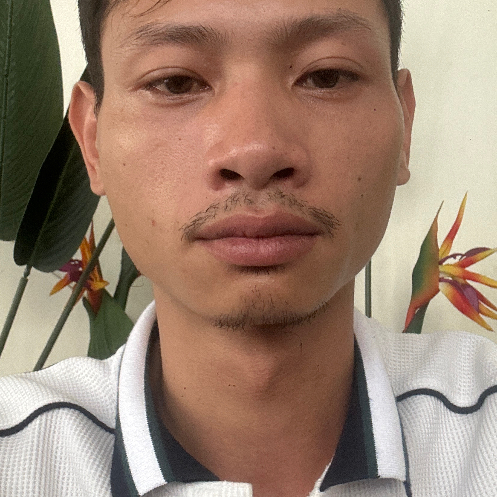 Avar Ứng viên