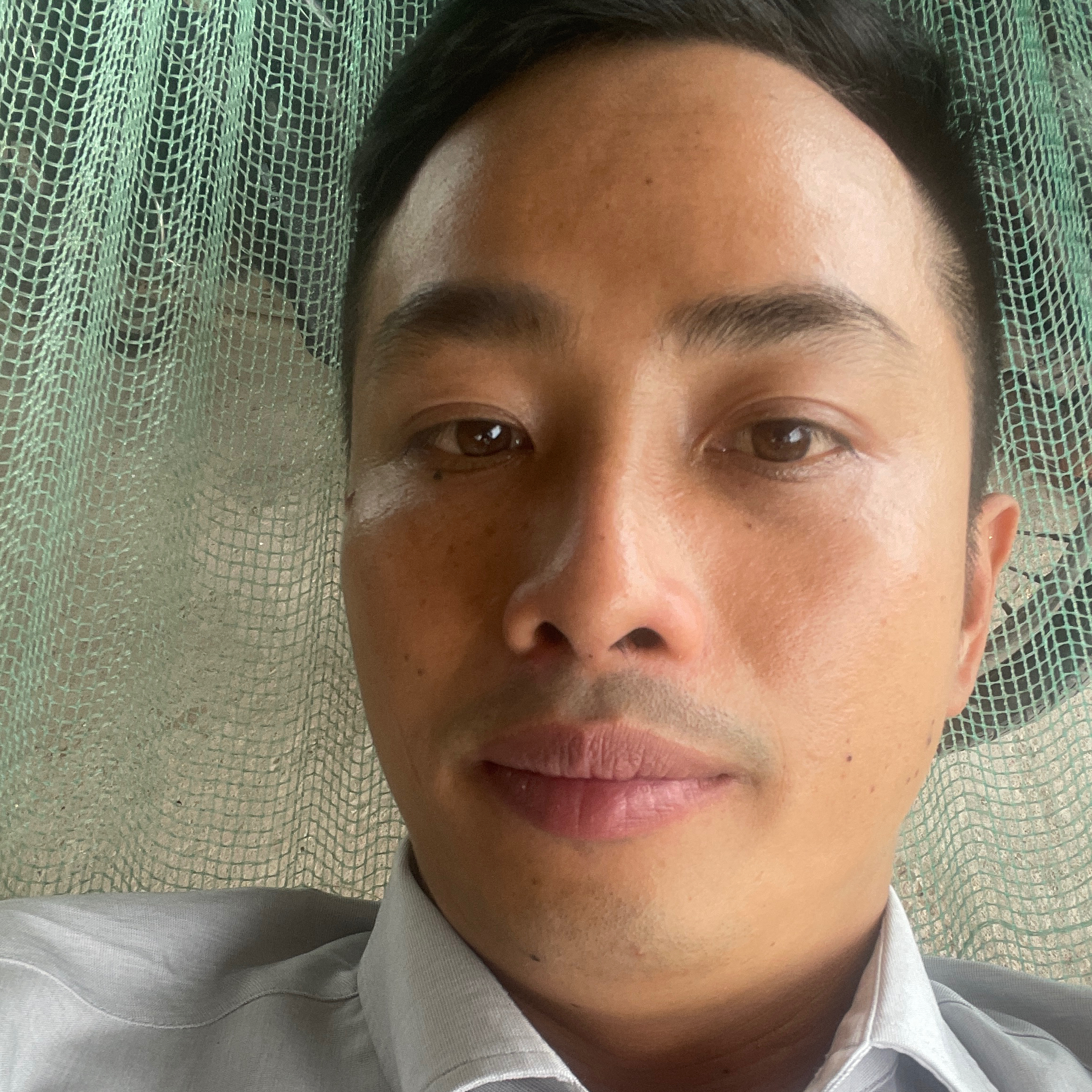 Avar Ứng viên