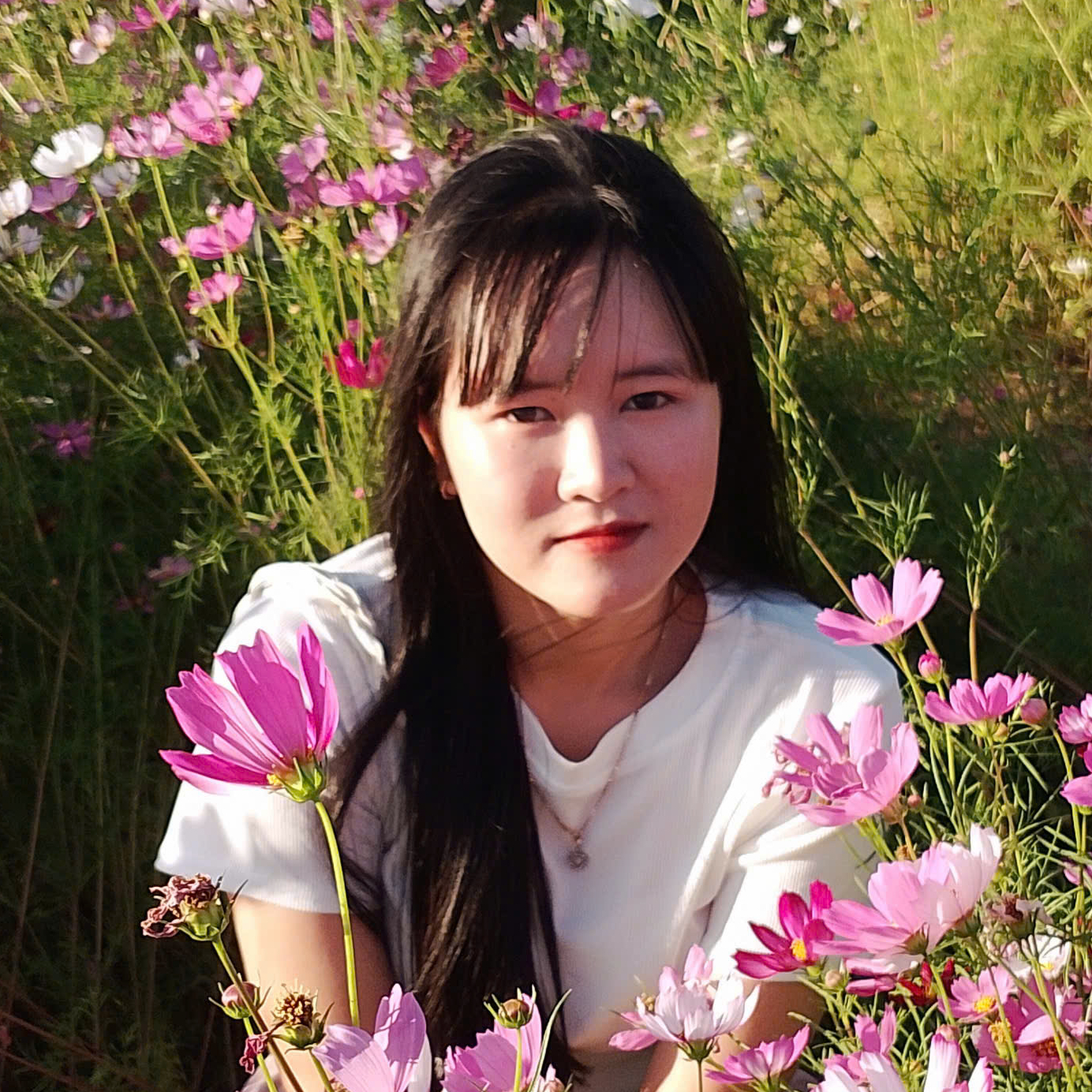 Avar Ứng viên