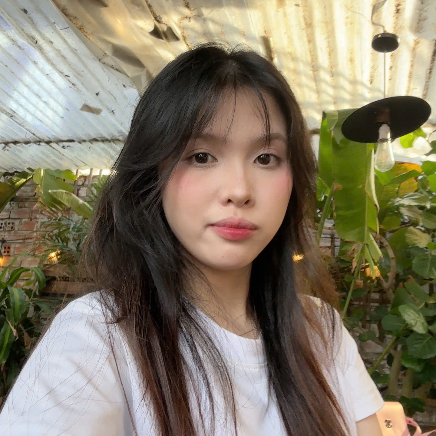 Avar Ứng viên