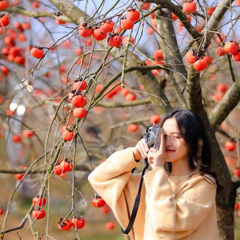 Avar Ứng viên