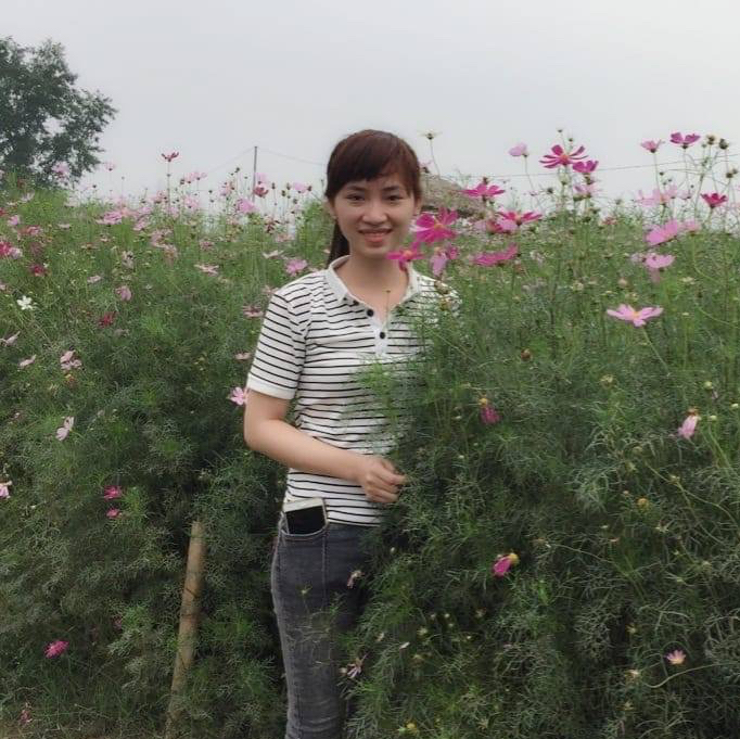 Avar Ứng viên