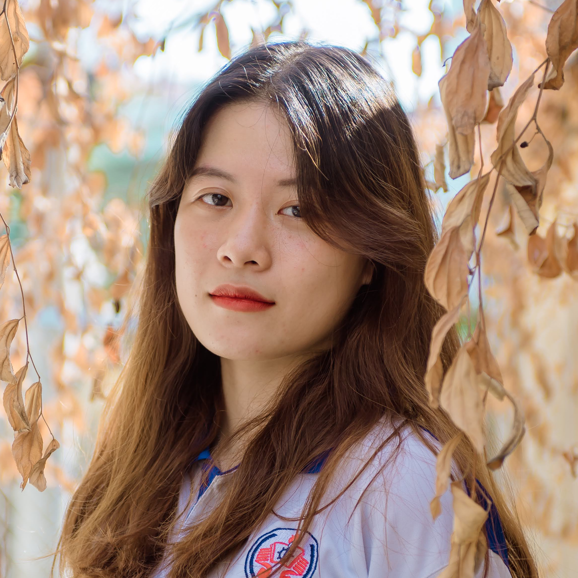 Avar Ứng viên