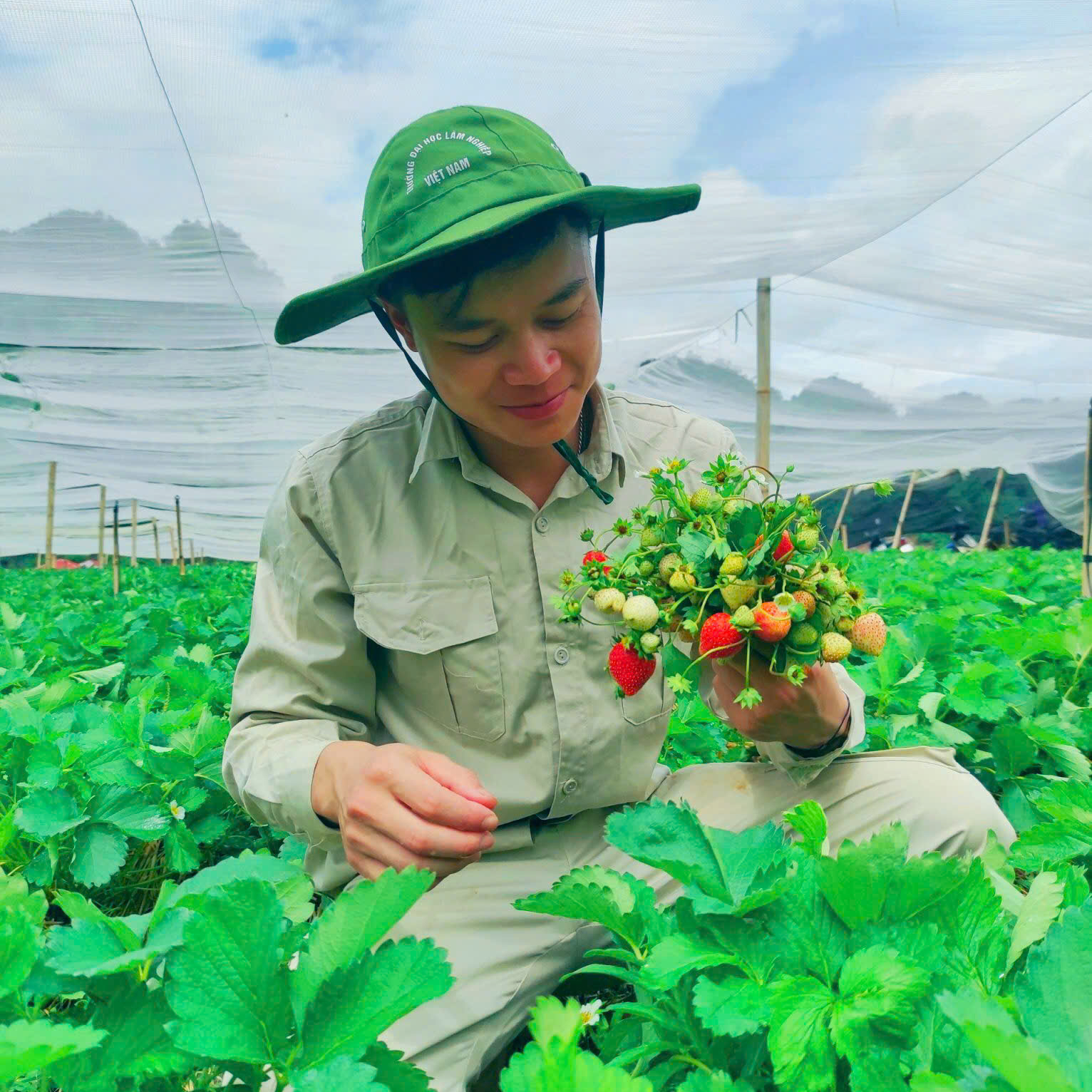Avar Ứng viên