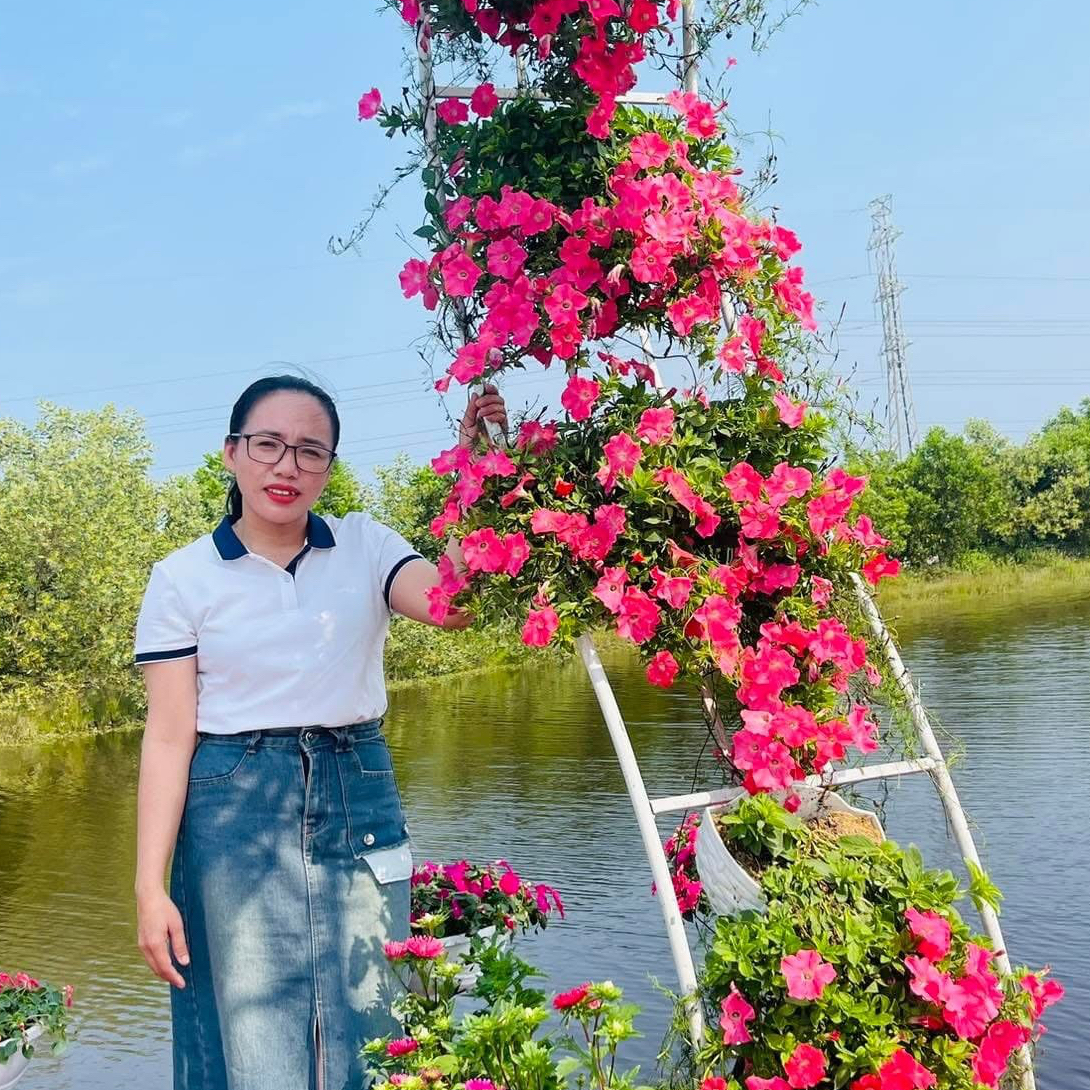 Avar Ứng viên
