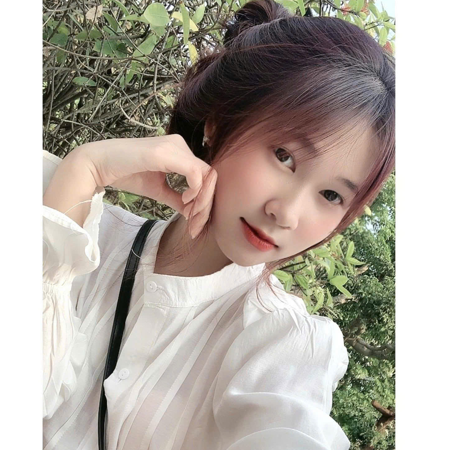 Avar Ứng viên