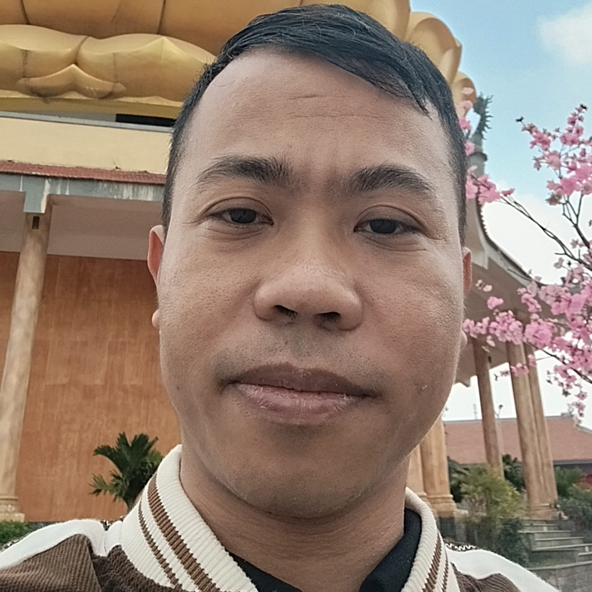 Avar Ứng viên