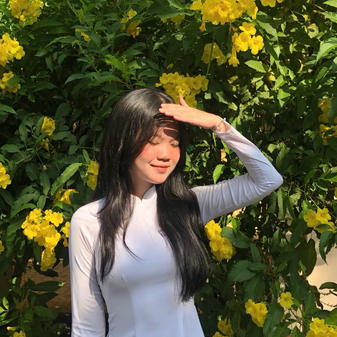 Avar Ứng viên