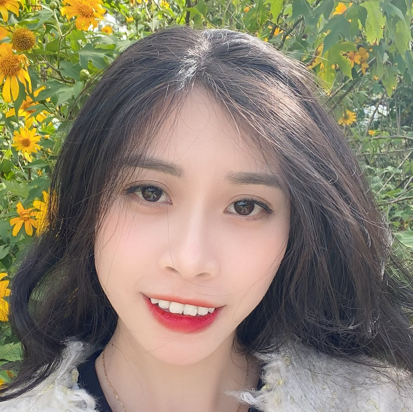 Avar Ứng viên