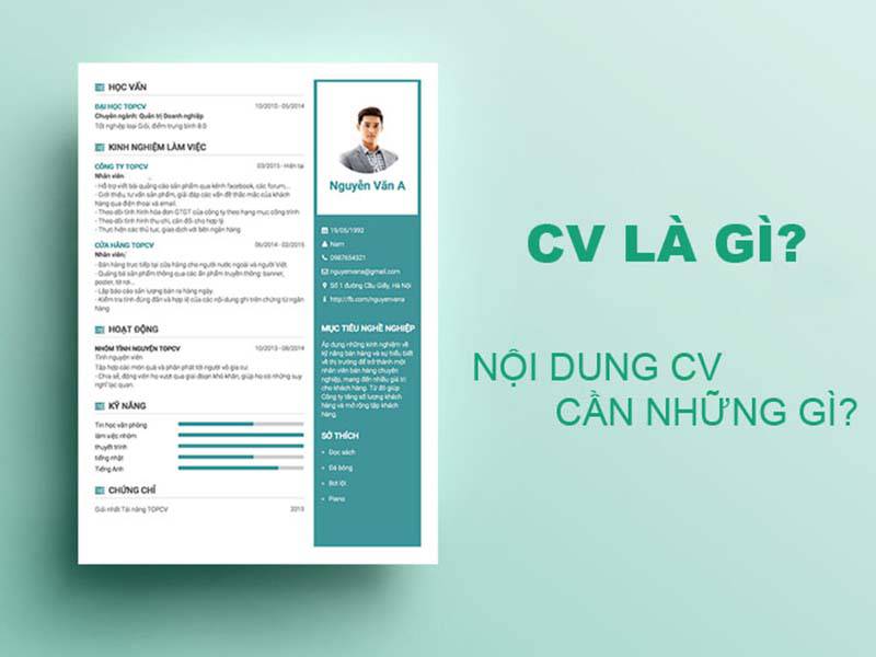 Nên ghi gì vào CV?
