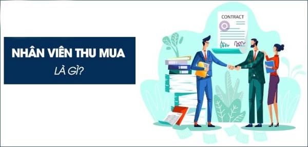 Khái niệm và chức năng của nhân viên thu mua trong hoạt động sản xuất kinh doanh