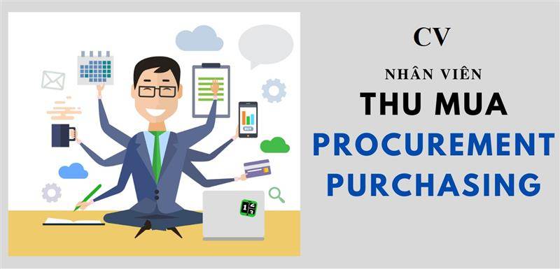 Viết gì trong CV khi ứng tuyển vị trí nhân viên thu mua?