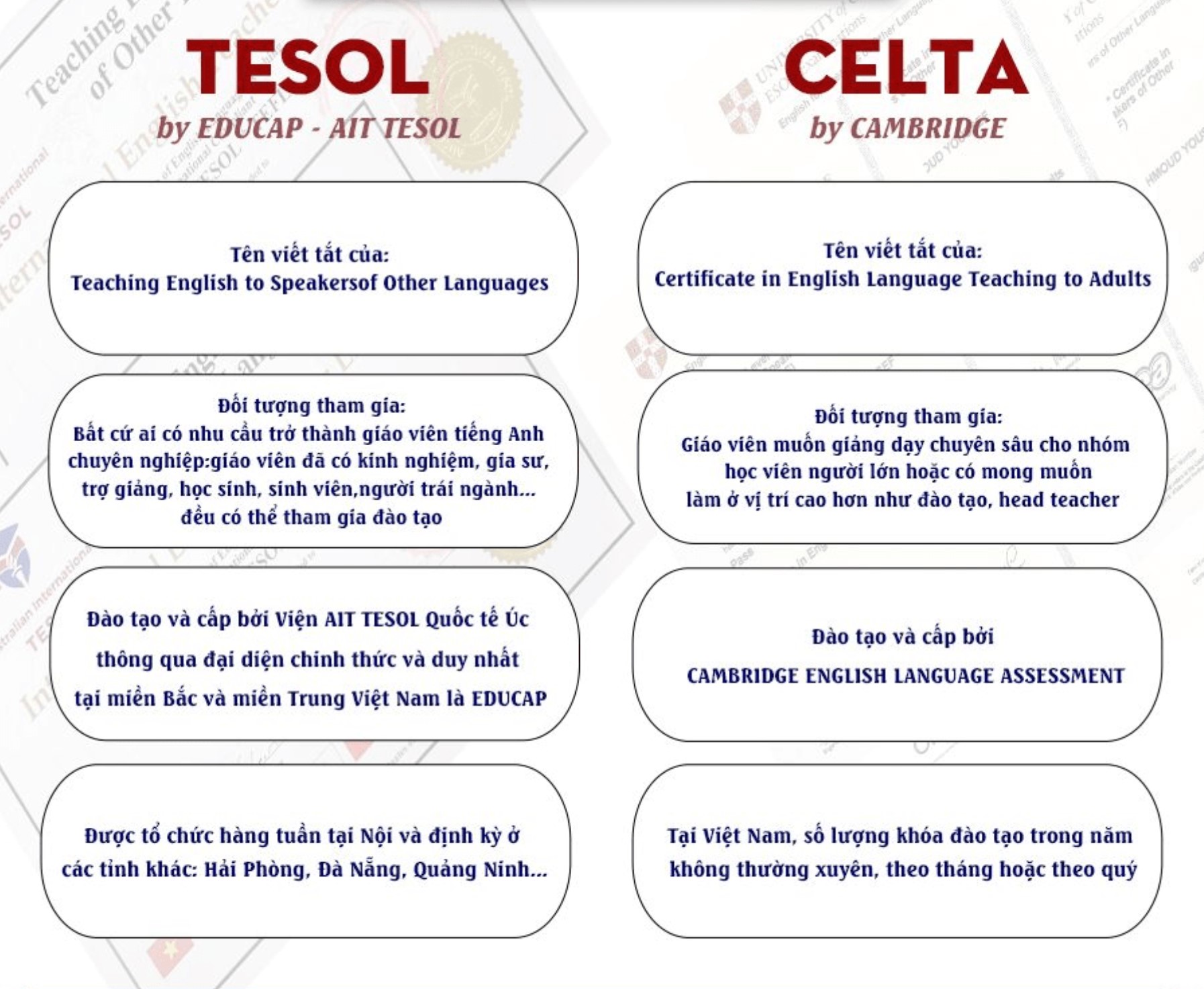 Nền tảng chuyên môn & chứng chỉ giảng dạy