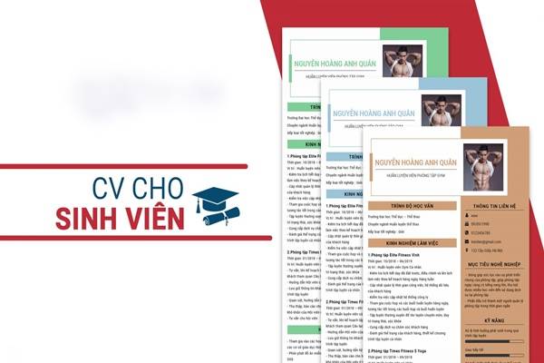 Mẫu CV xin việc cho sinh viên