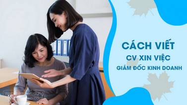 Những nội dung quan trọng cần có trong CV ứng tuyển Giám đốc Kinh doanh