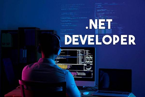 .NET developer được hiểu như thế nào trong lĩnh vực phát triển phần mềm?