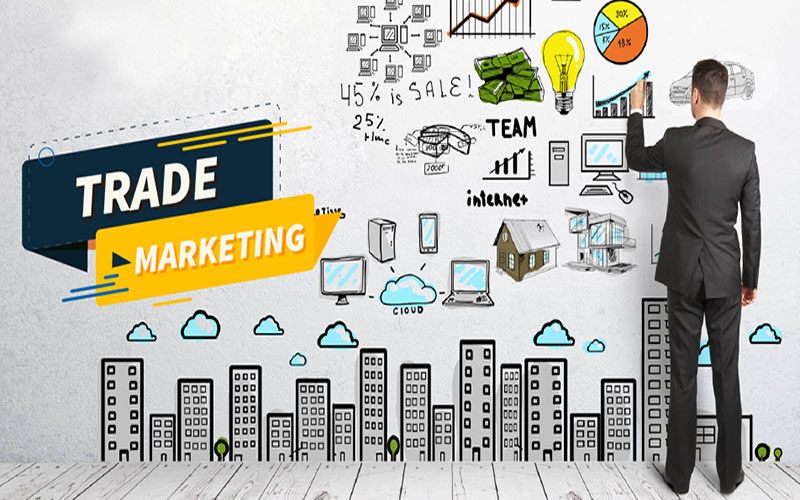 CV Trade Marketing: Nhấn mạnh khả năng thúc đẩy doanh số