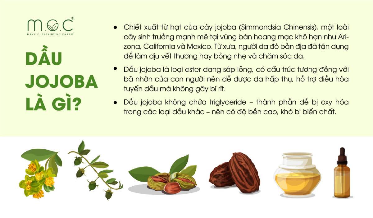 Tìm hiểu Jojoba và giá trị trong hành trình sự nghiệp