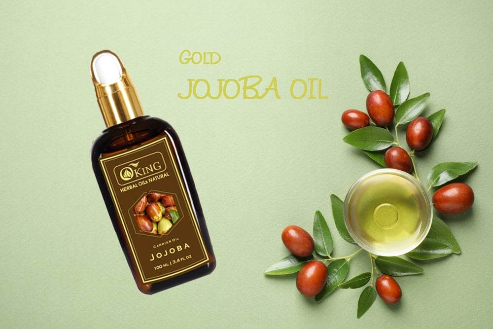 Chuyên gia bền vững và kỹ sư nông nghiệp đang định hình phương pháp trồng Jojoba tiên tiến