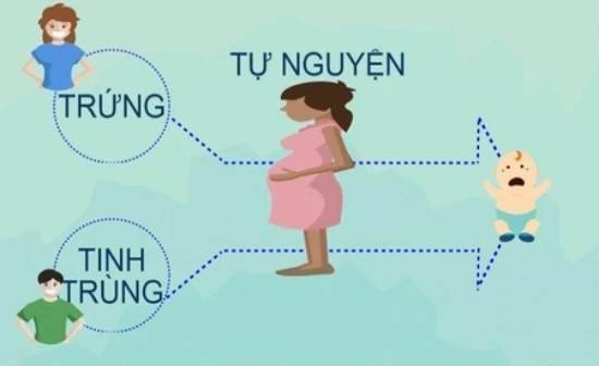 Các bước thực hiện mang thai hộ