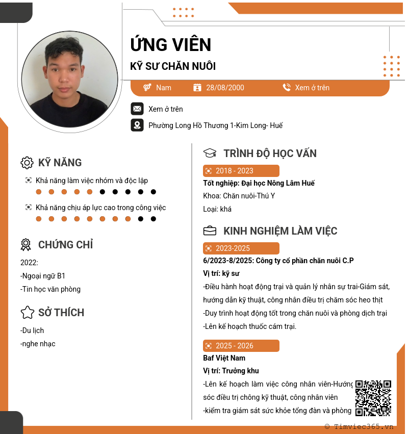 CV ứng viên