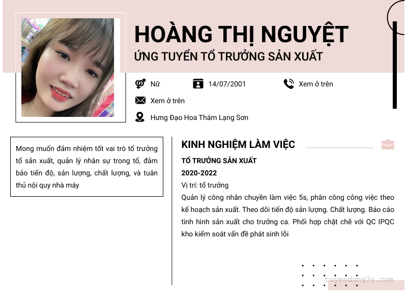 CV ứng viên
