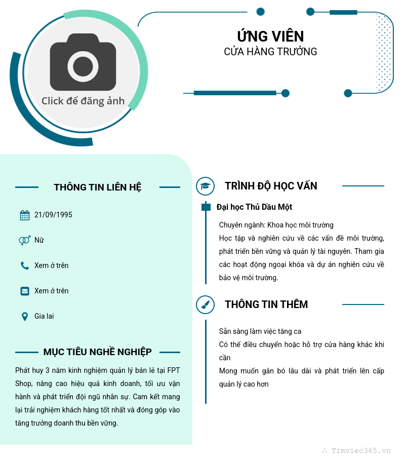 CV ứng viên