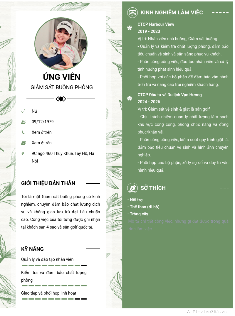 CV ứng viên