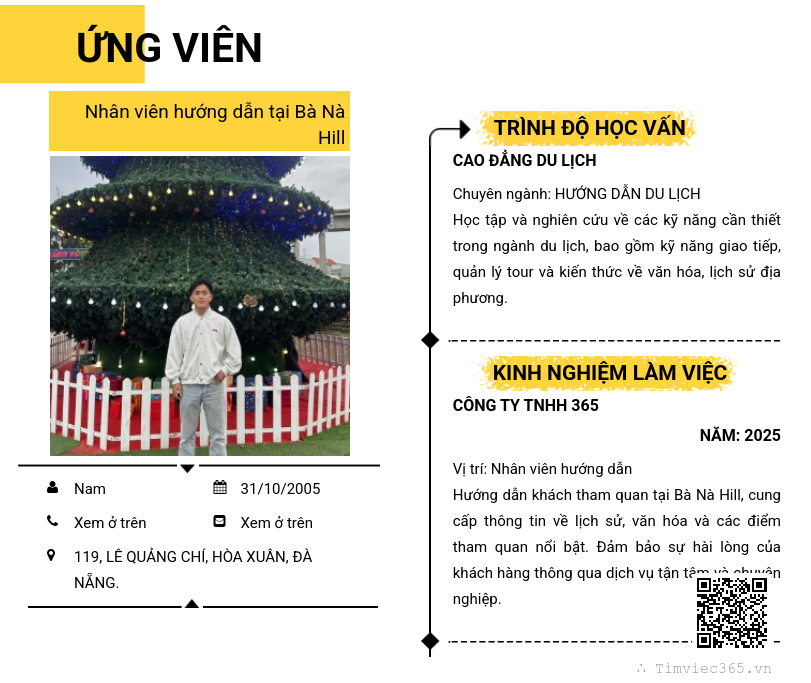 CV ứng viên