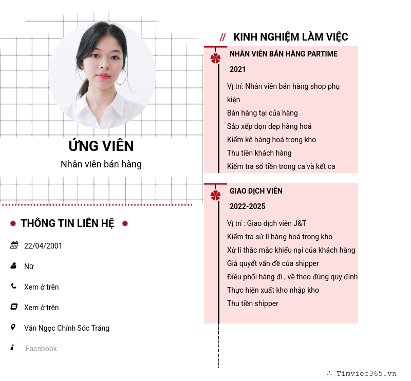 CV ứng viên