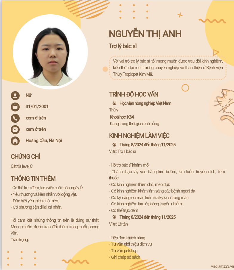 CV ứng viên