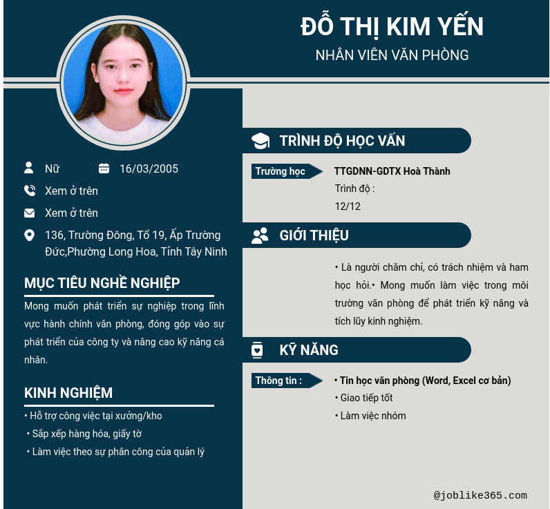 CV ứng viên