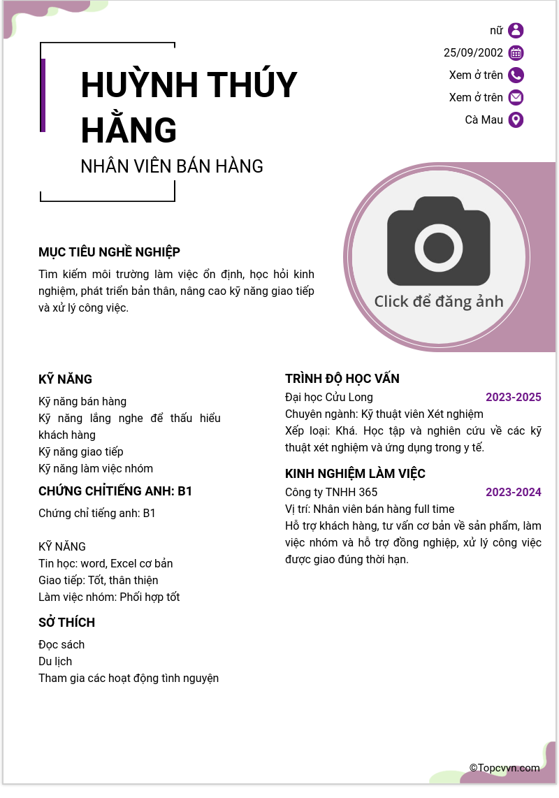 CV ứng viên