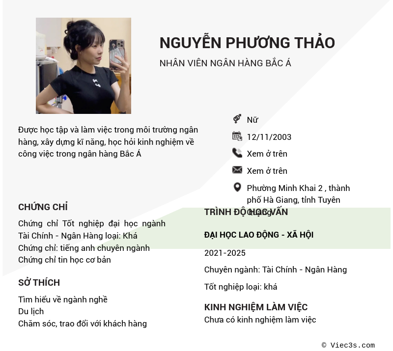 CV ứng viên