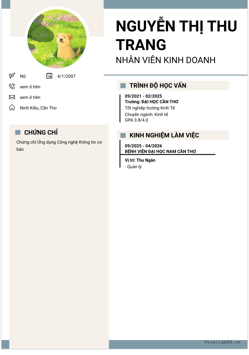 CV ứng viên