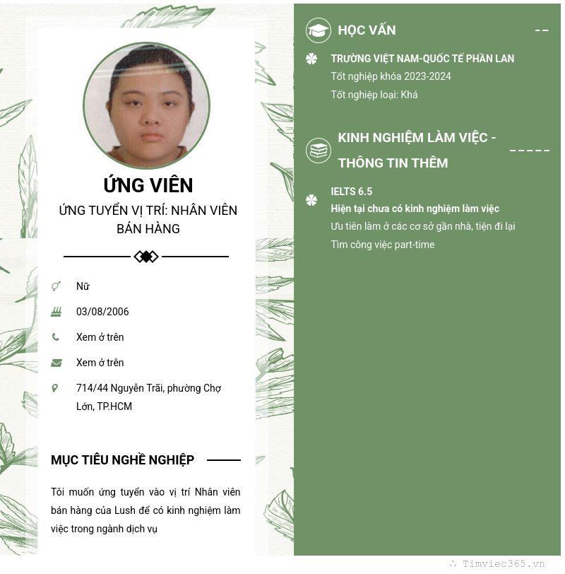 CV ứng viên