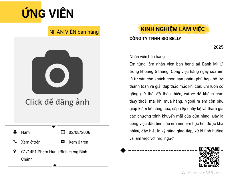 CV ứng viên