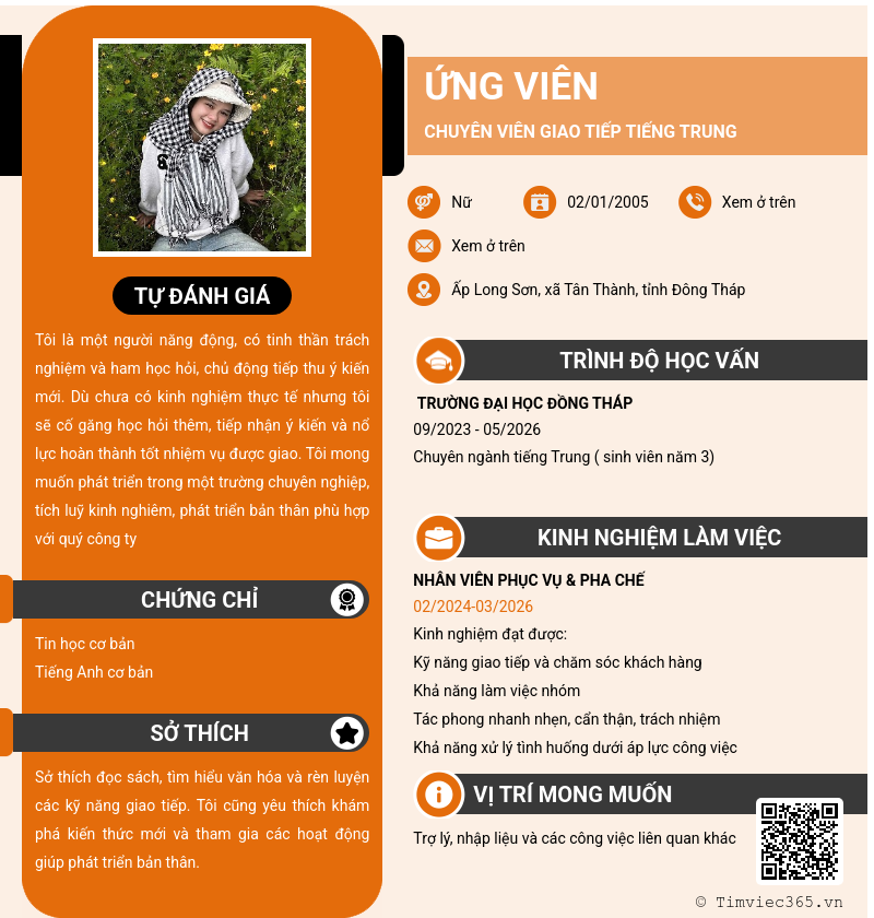 CV ứng viên