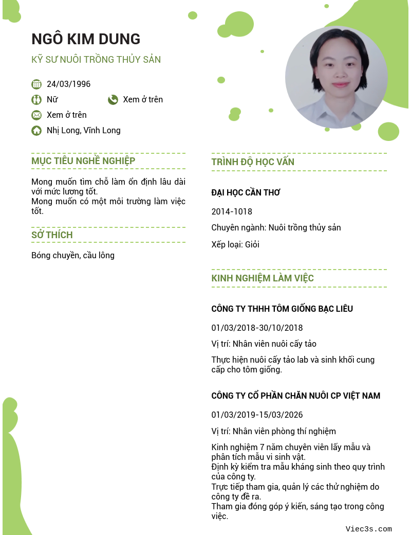 CV ứng viên