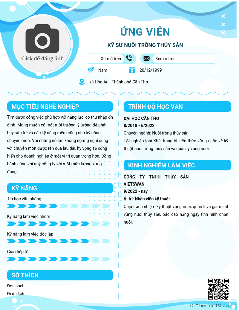 CV ứng viên