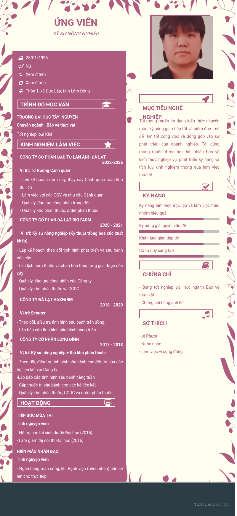 CV ứng viên