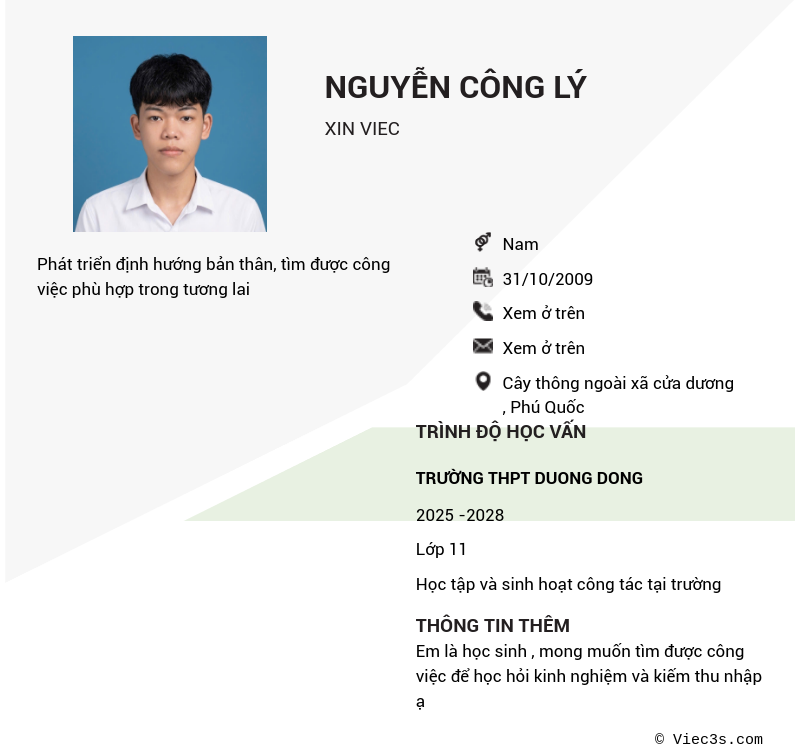 CV ứng viên
