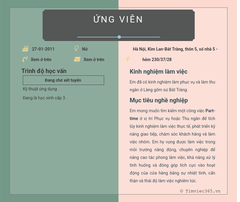 CV ứng viên