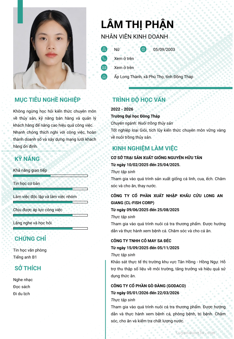 CV ứng viên
