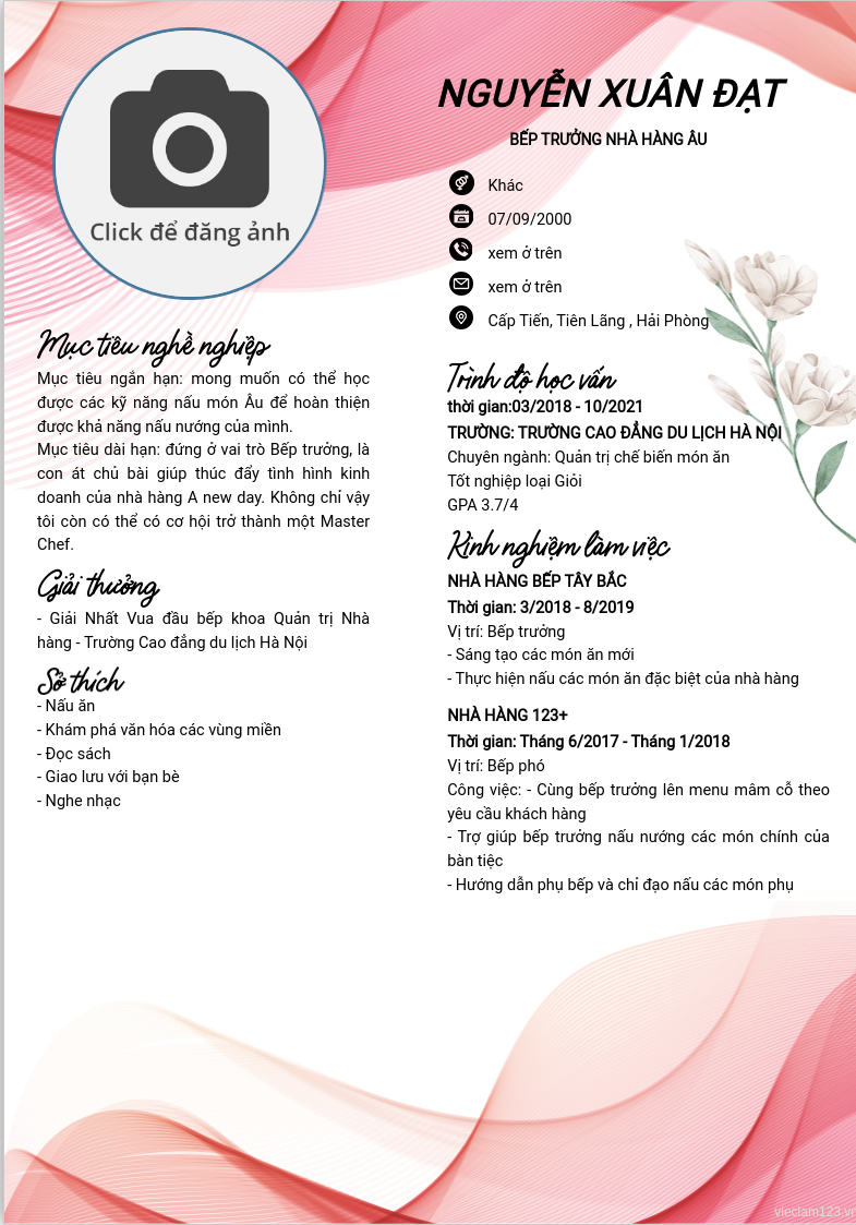 CV ứng viên
