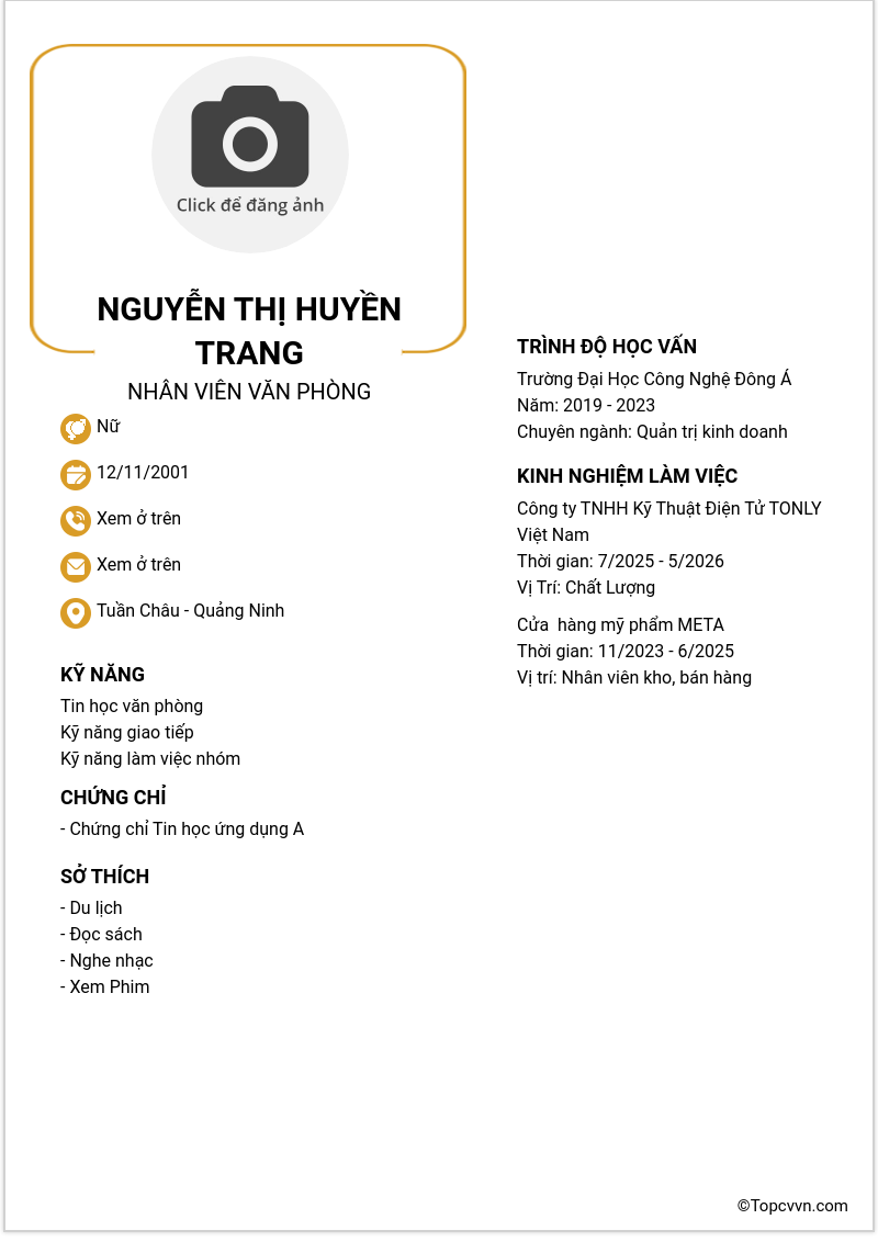 CV ứng viên