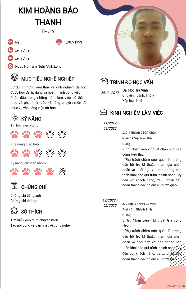 CV ứng viên