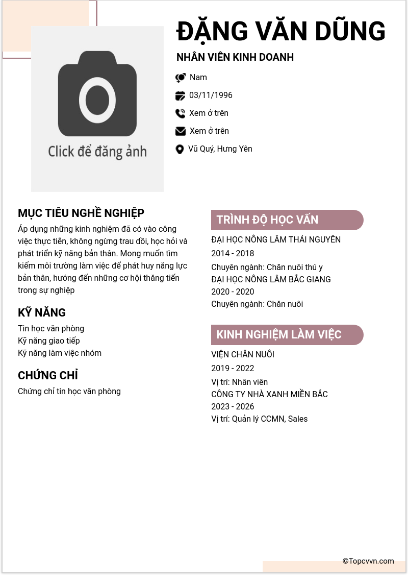 CV ứng viên