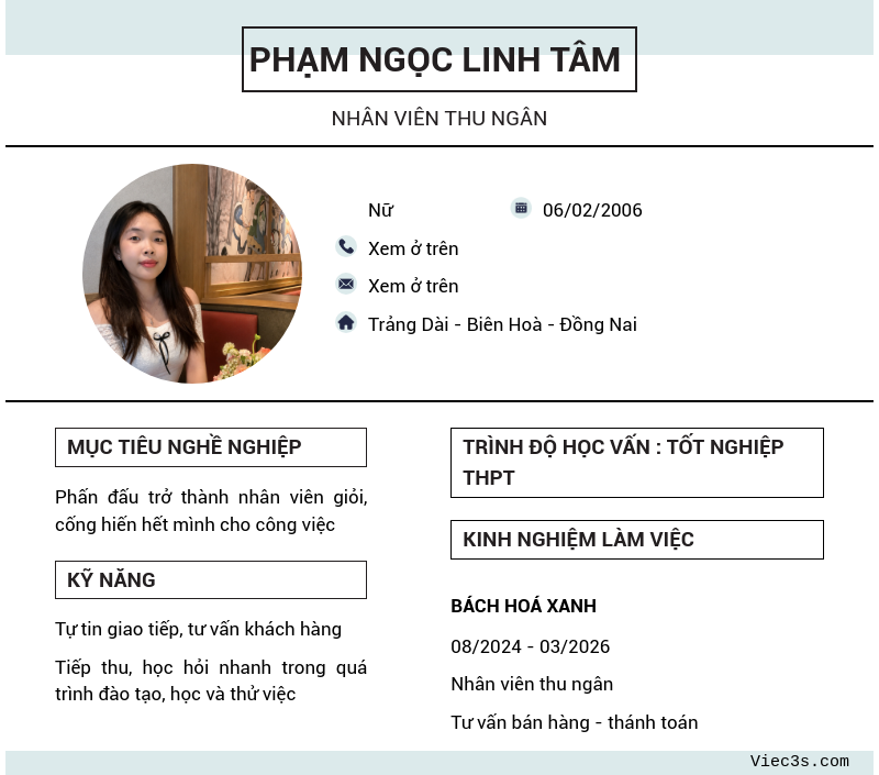 CV ứng viên