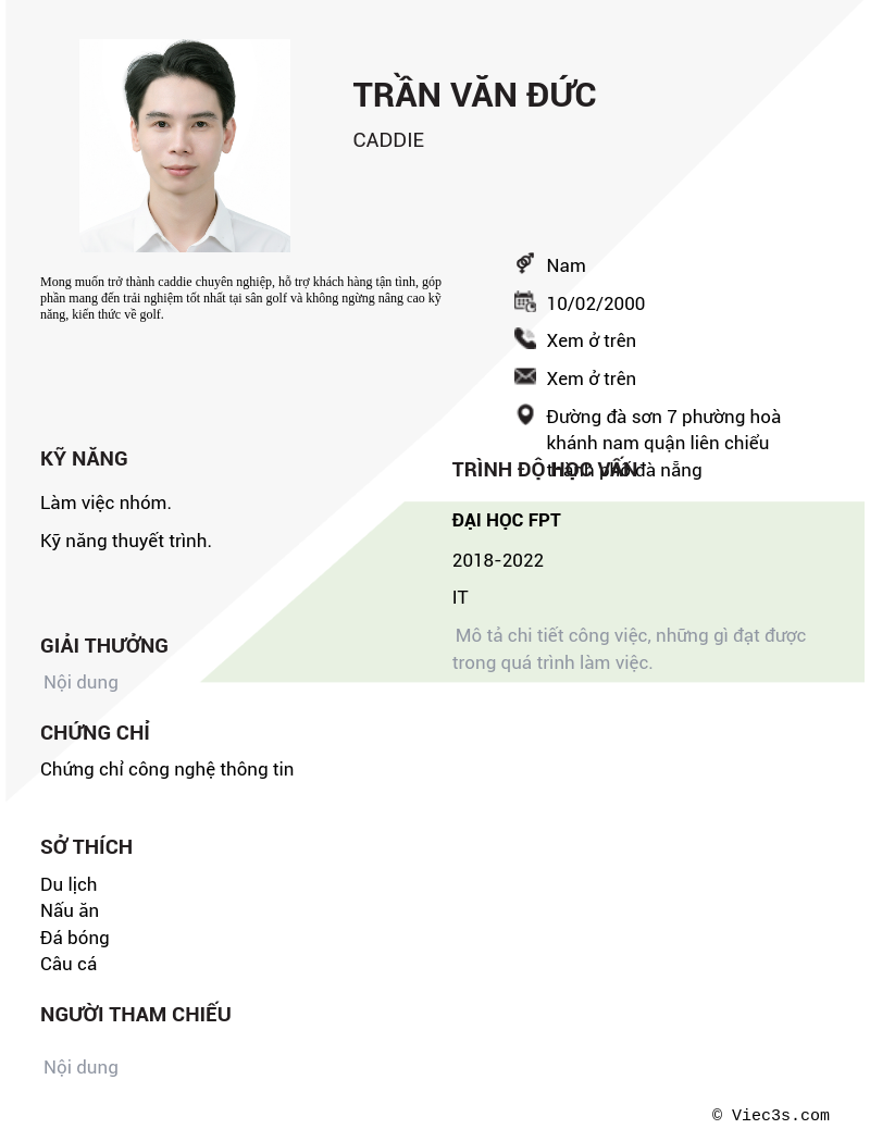 CV ứng viên